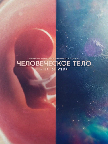 Человеческое тело: мир внутри (1 сезон)