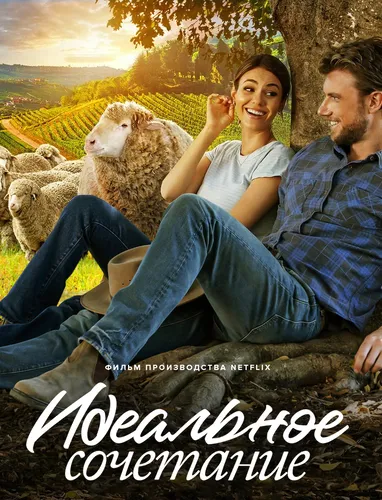 Идеальное сочетание (2022)