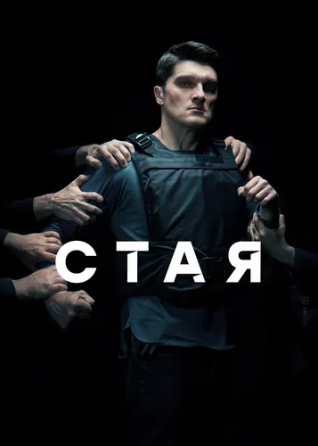 Стая (1 сезон)