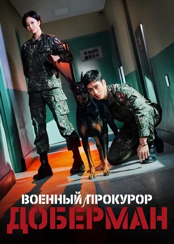 Военный прокурор Доберман (1 сезон)