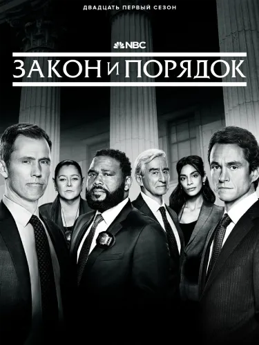Закон и порядок (21 сезон)