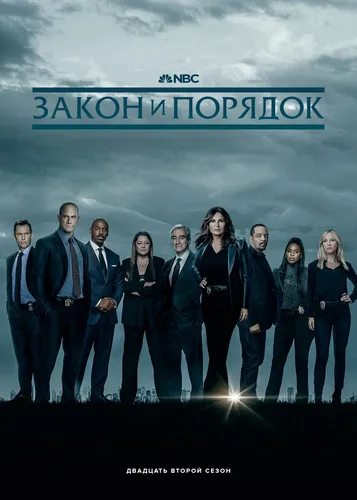 Закон и порядок (22 сезон)