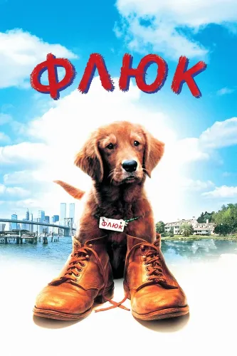 Флюк (1995)