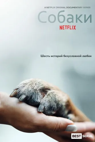 Друг человека (2018)