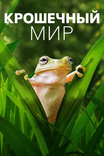 Крошечный мир (2020)