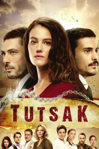 Пленница (2017)