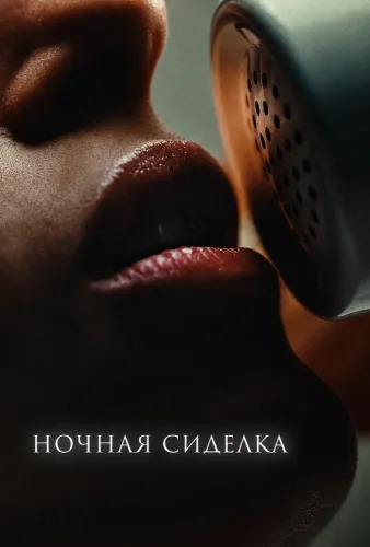 Ночная сиделка (2026)