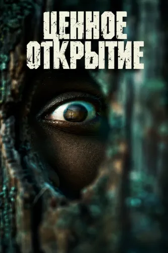 Ценное открытие (2026)