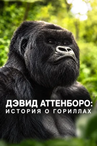 Дэвид Аттенборо: История о гориллах (2026)