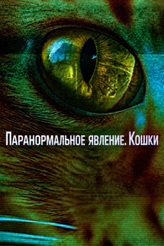 Паранормальное явление. Кошки (2026)